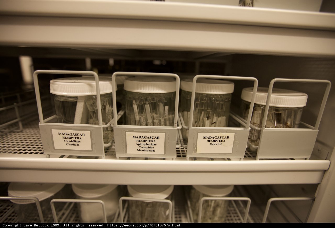 Medicine Shelf