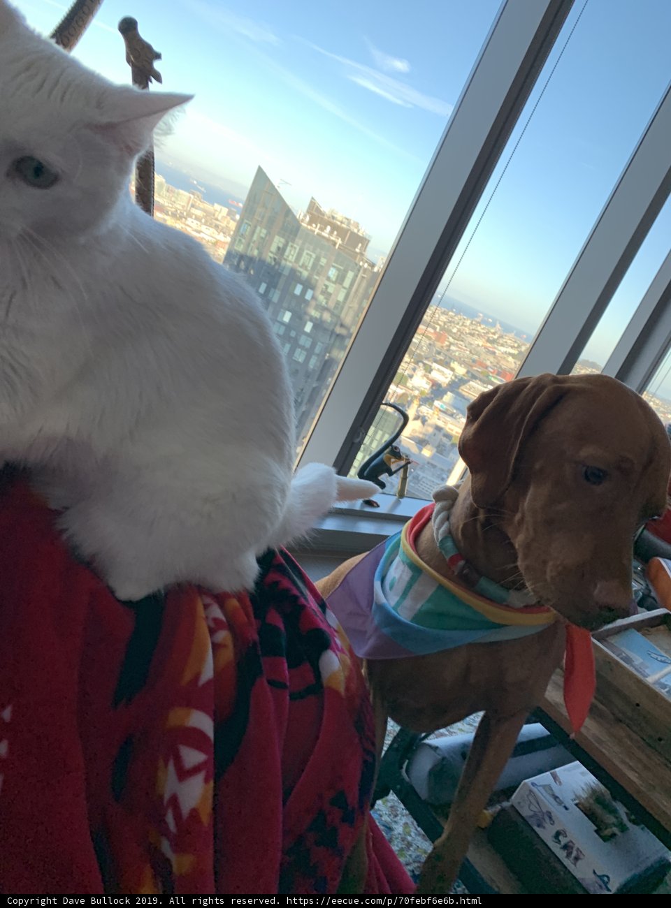 Home Buddies