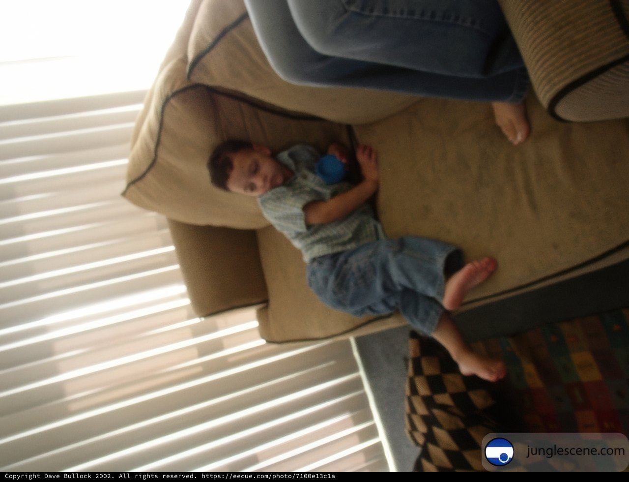 Lazy Christmas with Rahnsom B