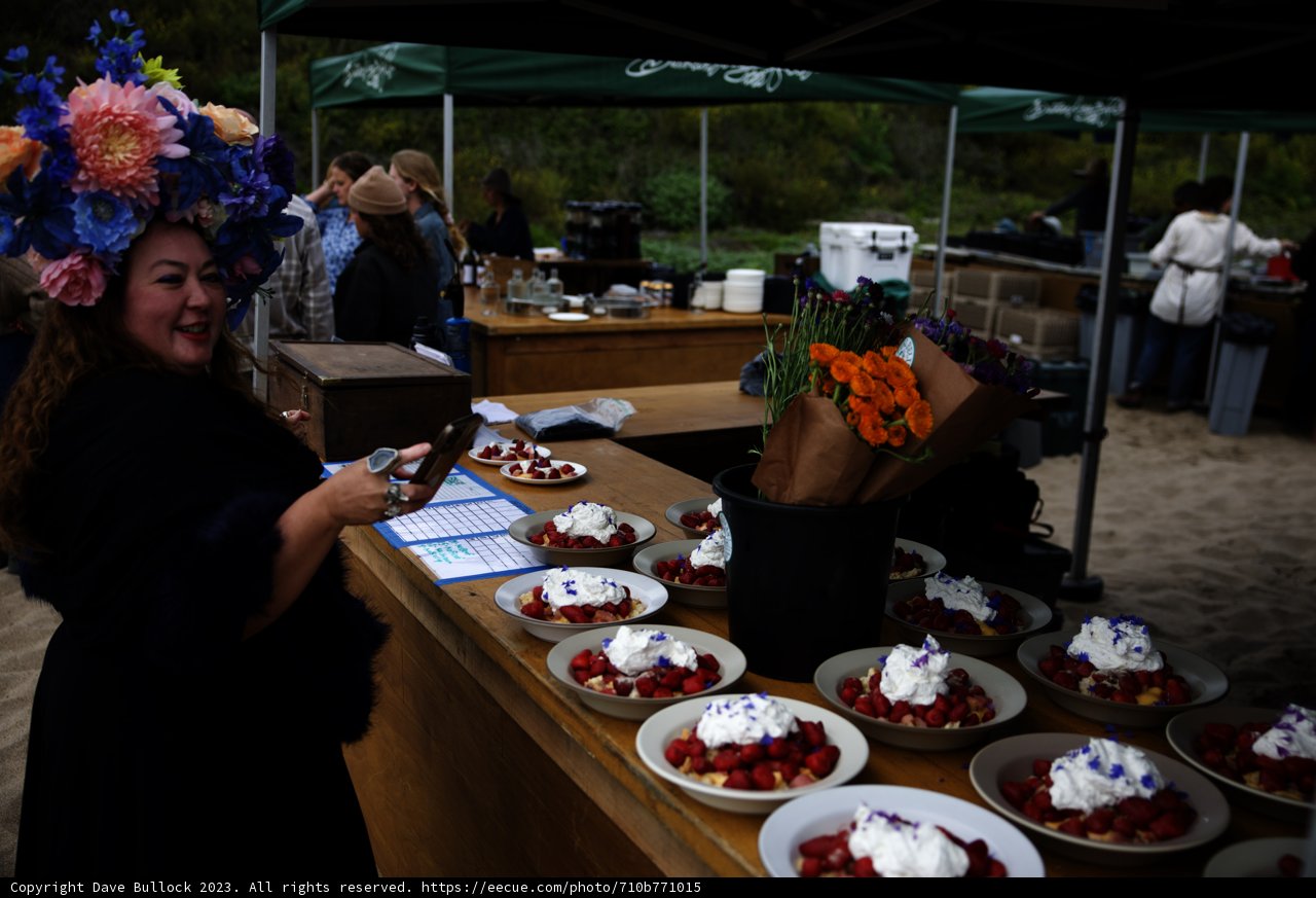 Blooming Elegance at Secret Beach Pescadero