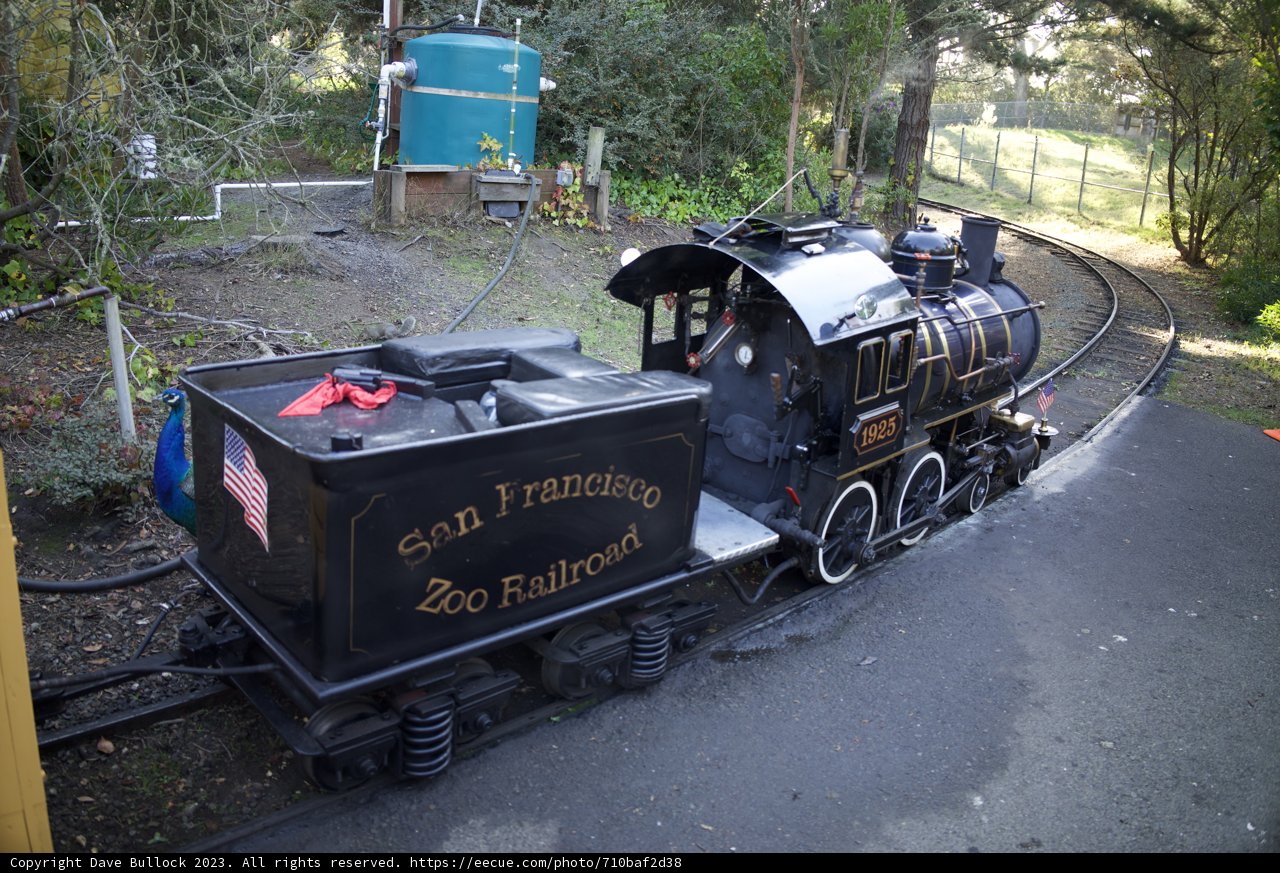 Locomotion Narration at SF Zoo