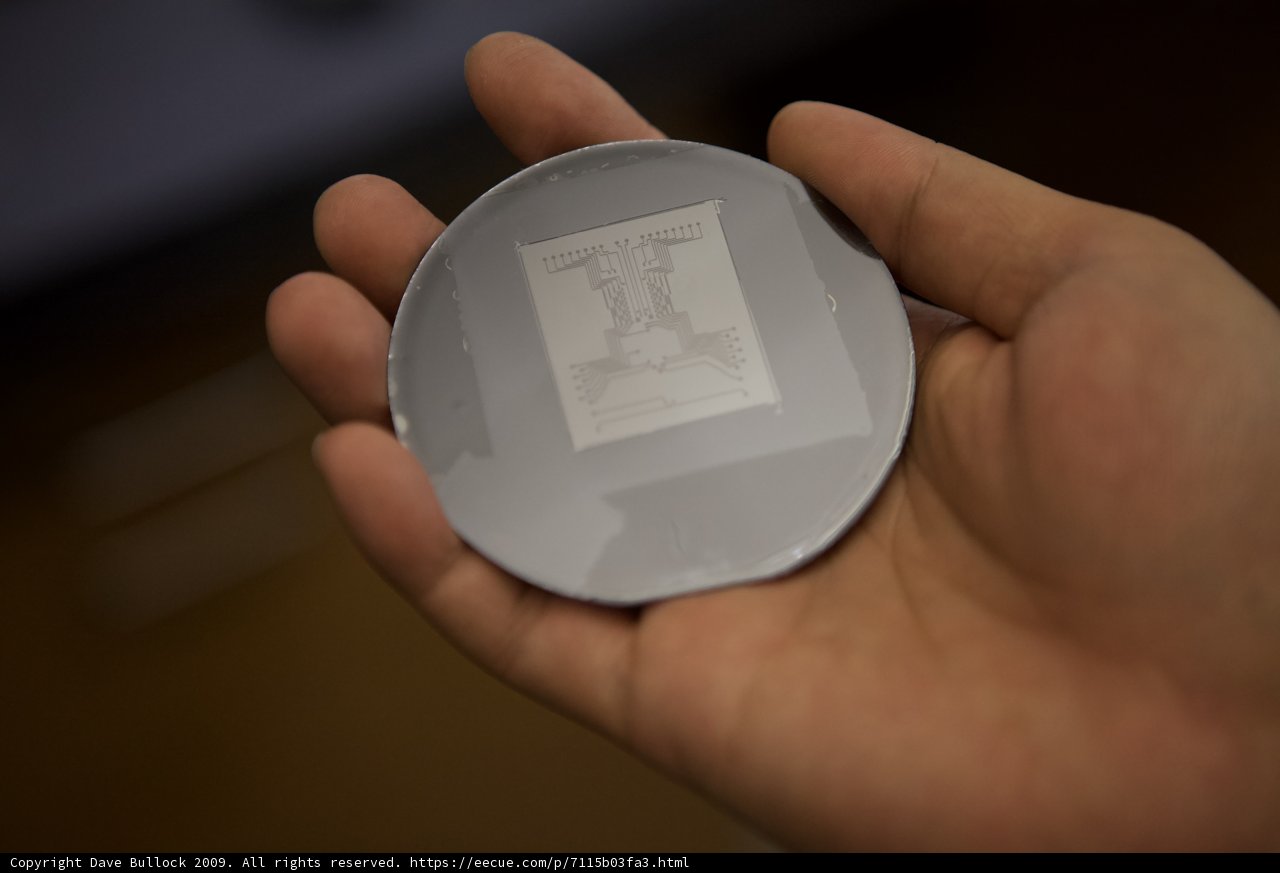 The Tiny Silver Wonder in a Hand