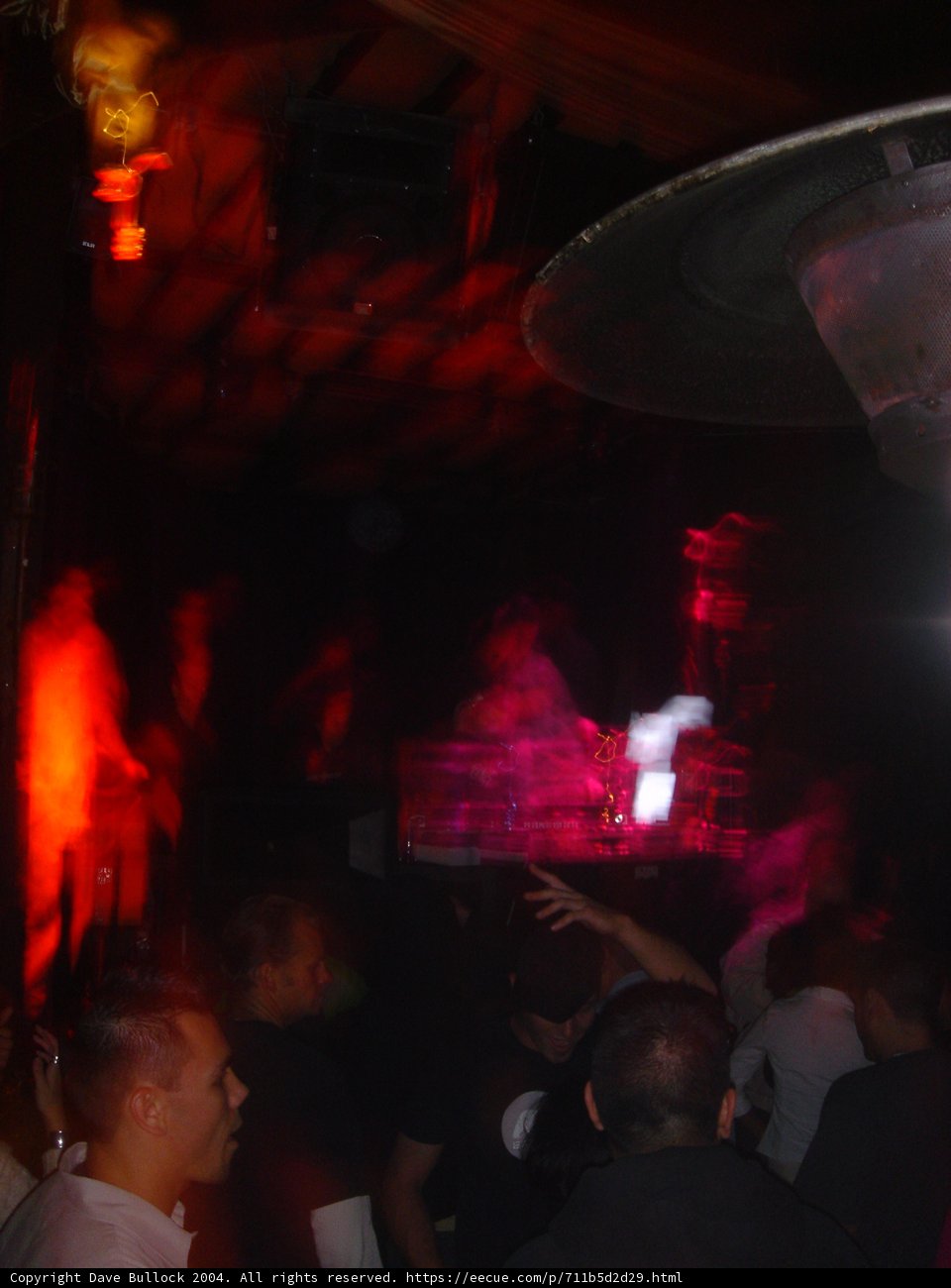 Red-lit Partygoers