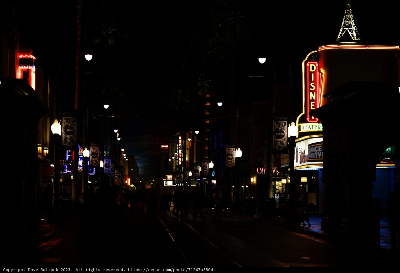 Neon Nights in the Metropolis