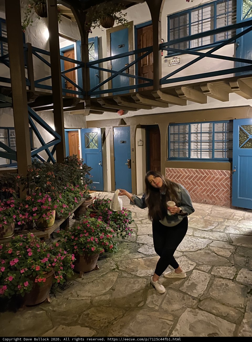 Serenity in the Courtyard