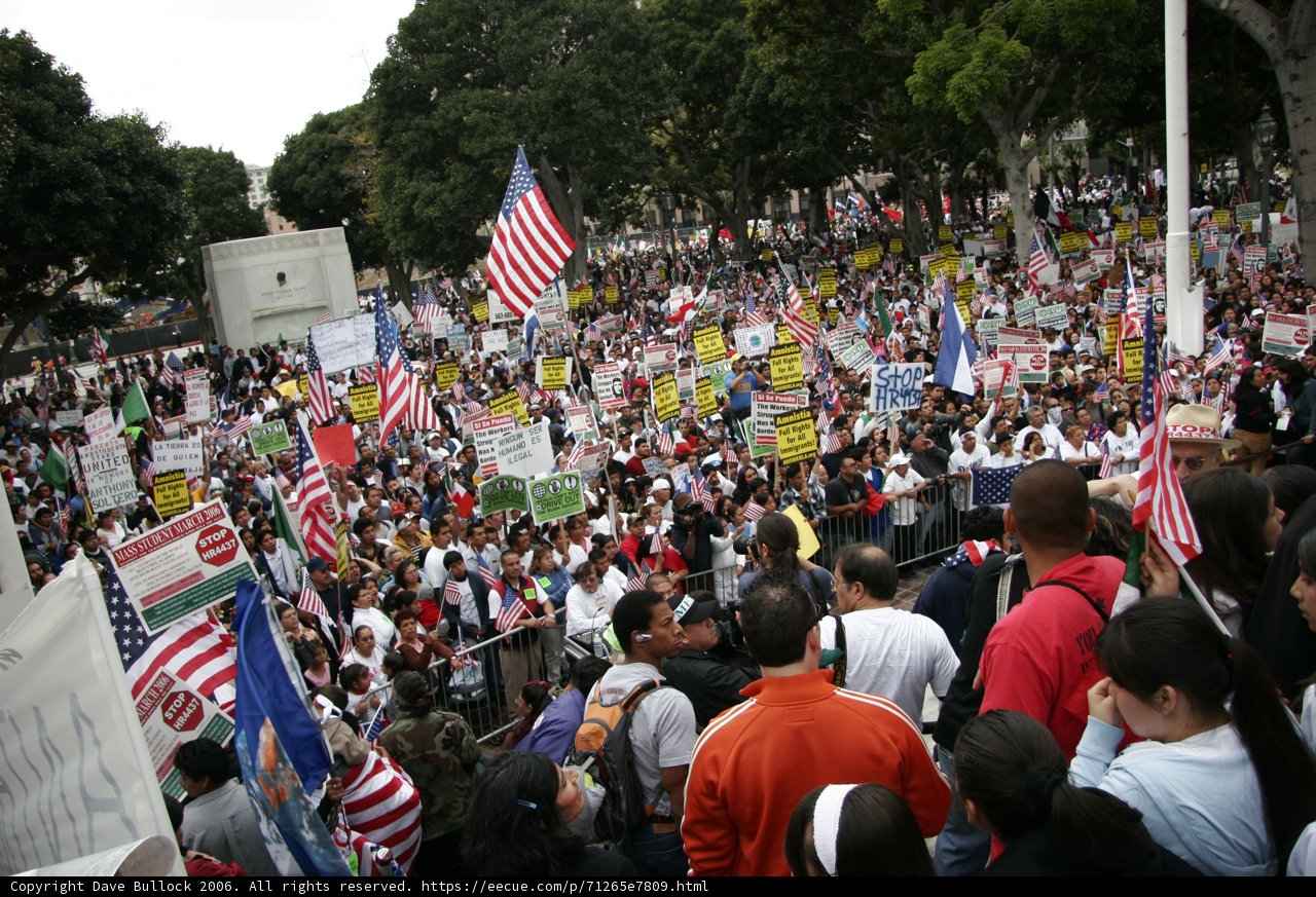 Patriotic Protesters Hold American Flags and Signs