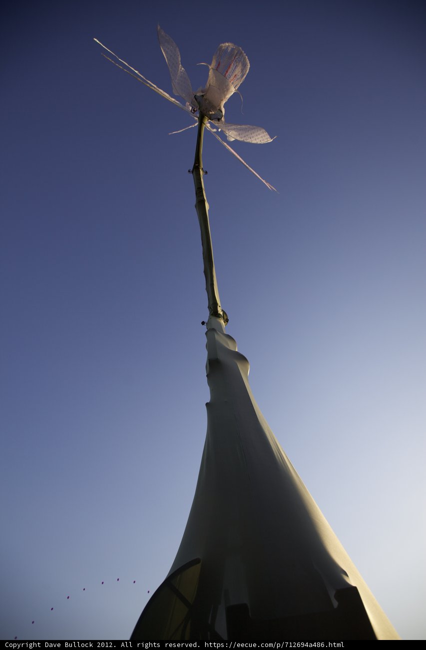 White Flower in the Blue Sky
