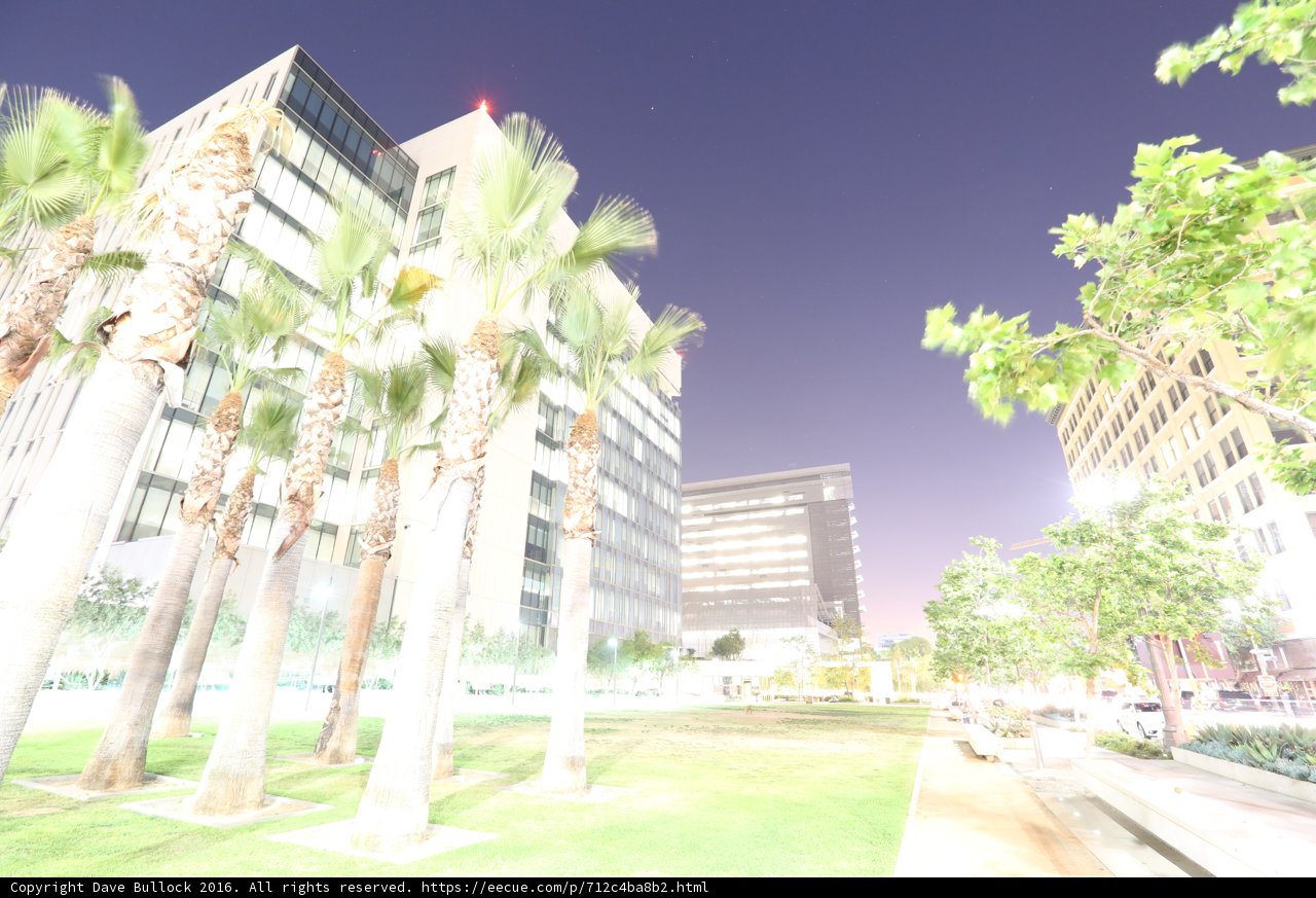 Night in the City Park