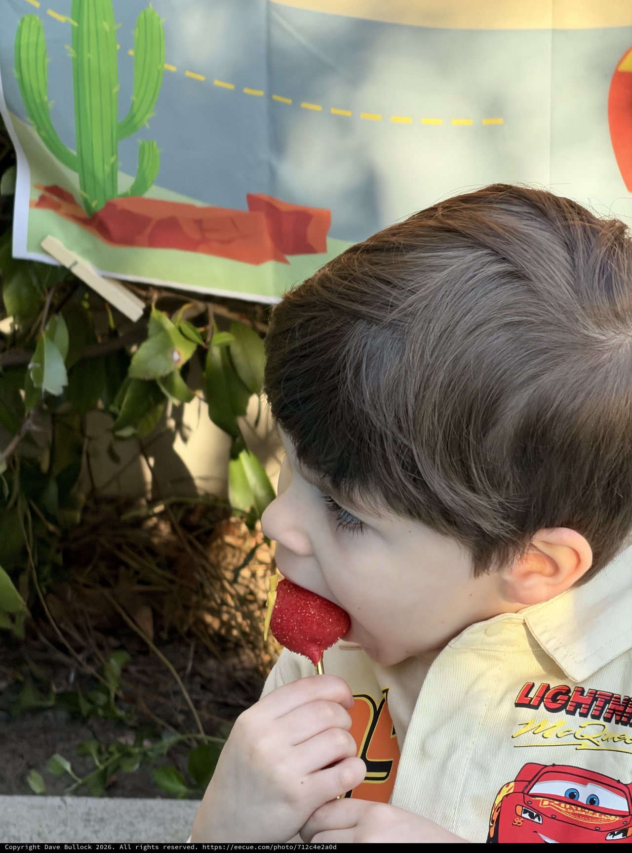 Young Boy Enjoying Frozen Strawberry Treat Outdoors