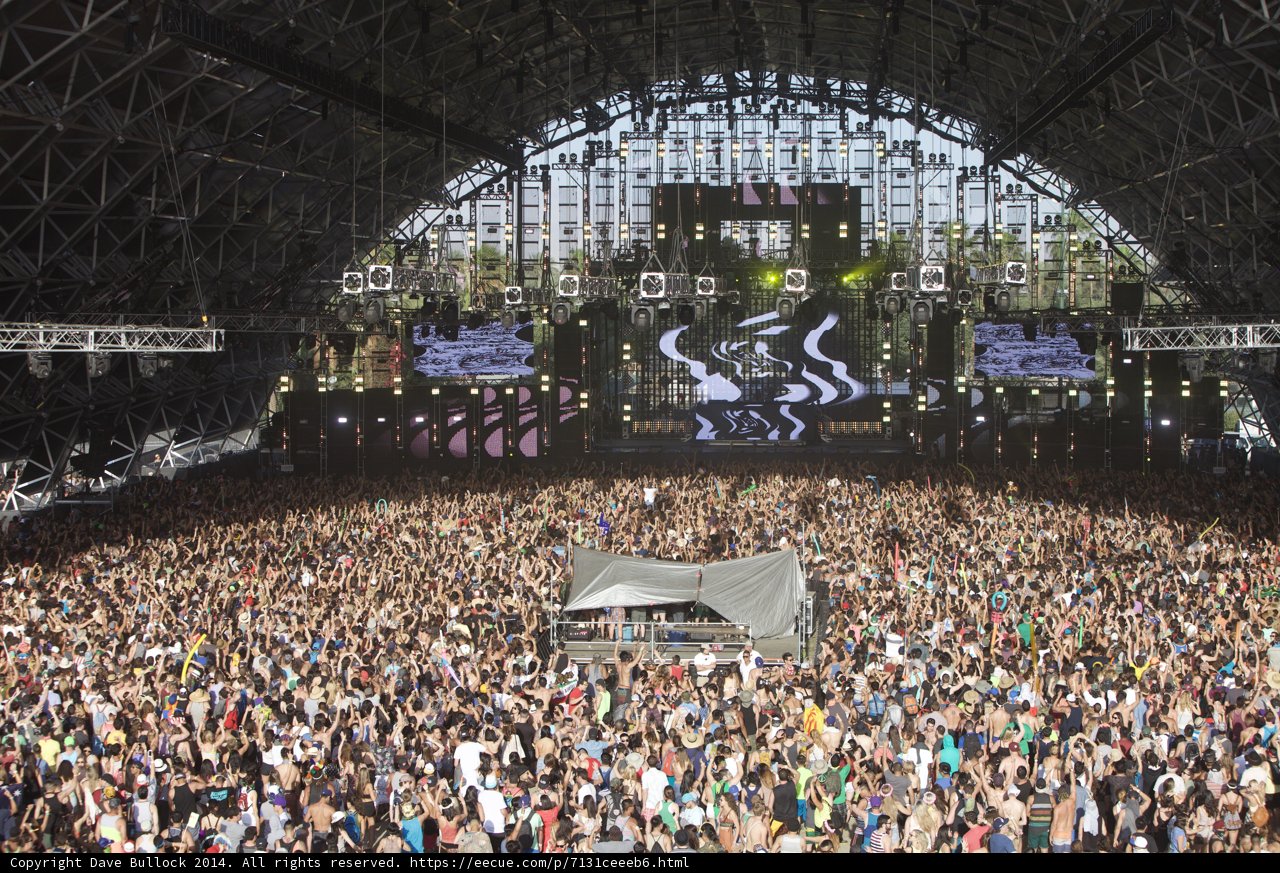 Coachella Crowd Euphoria