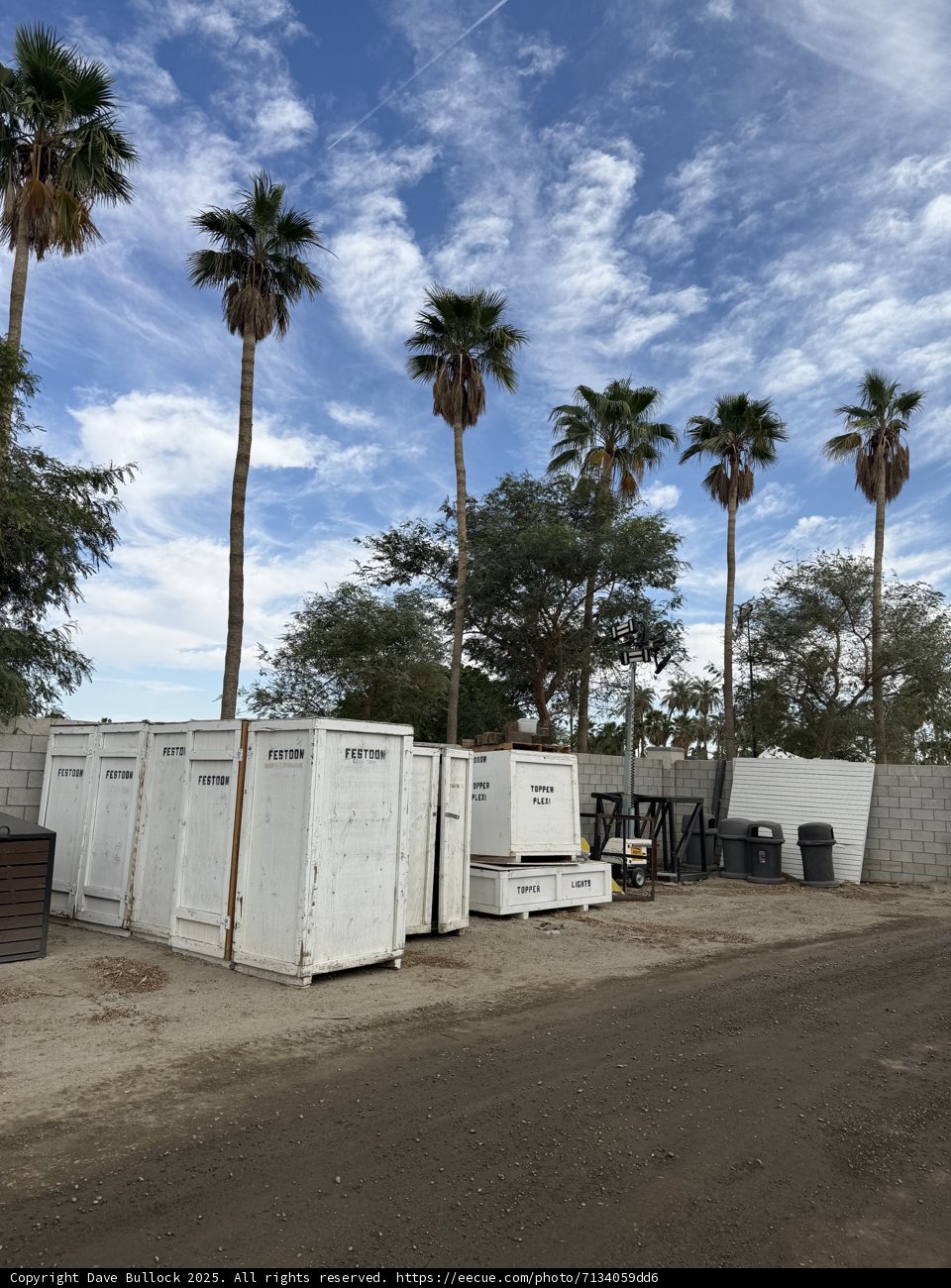 Palms and Preparations