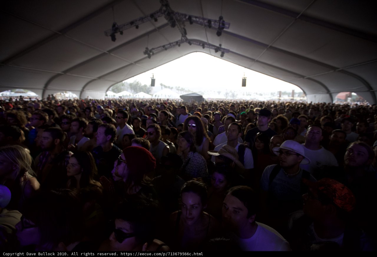The Electric Crowd at Coachella