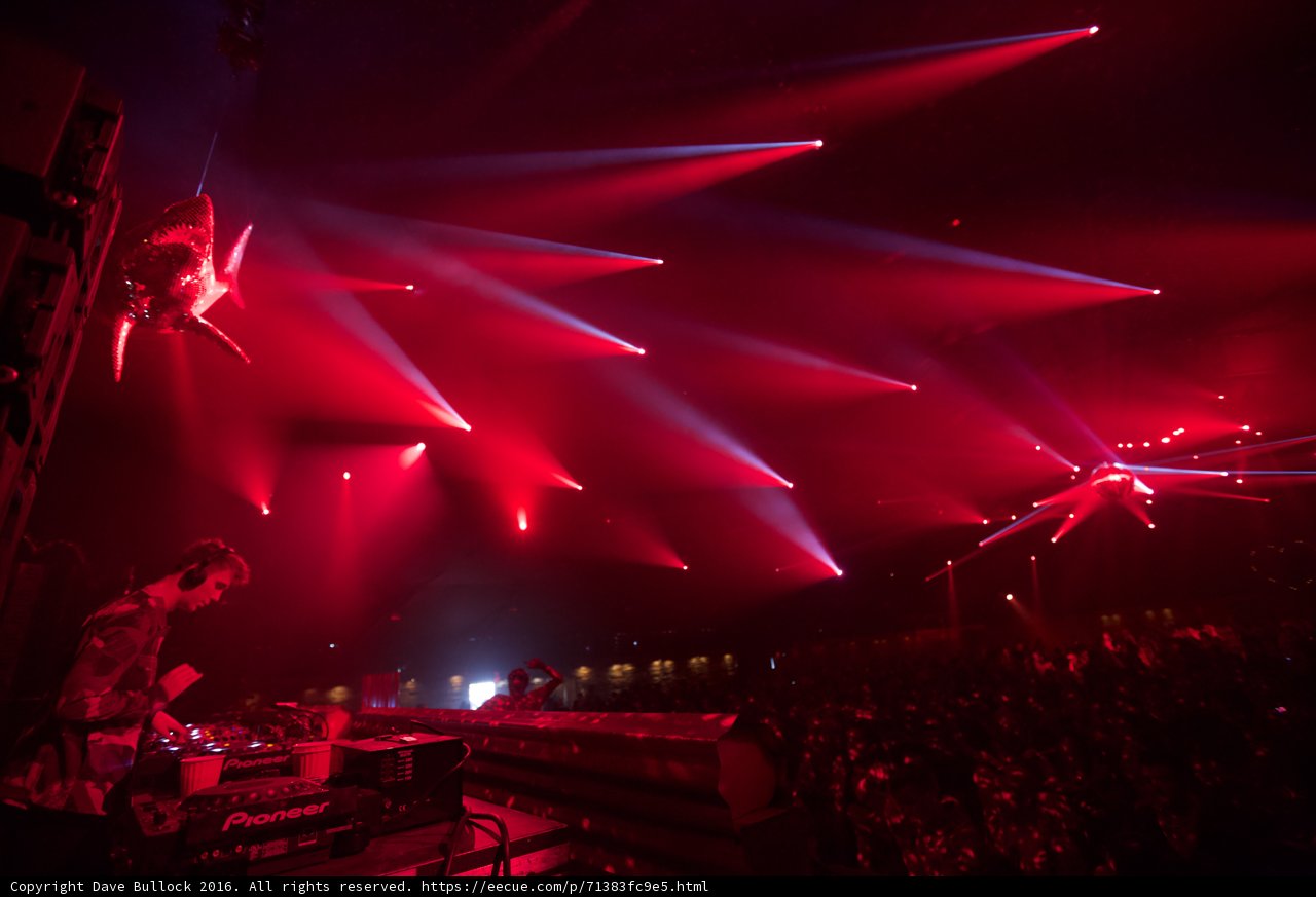 DJ in the Spotlight