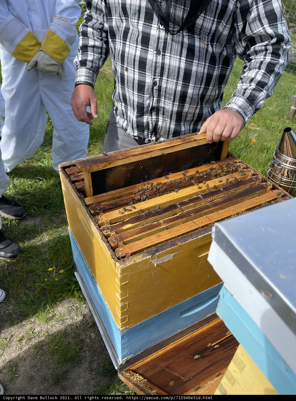 Busy as a Beekeeper