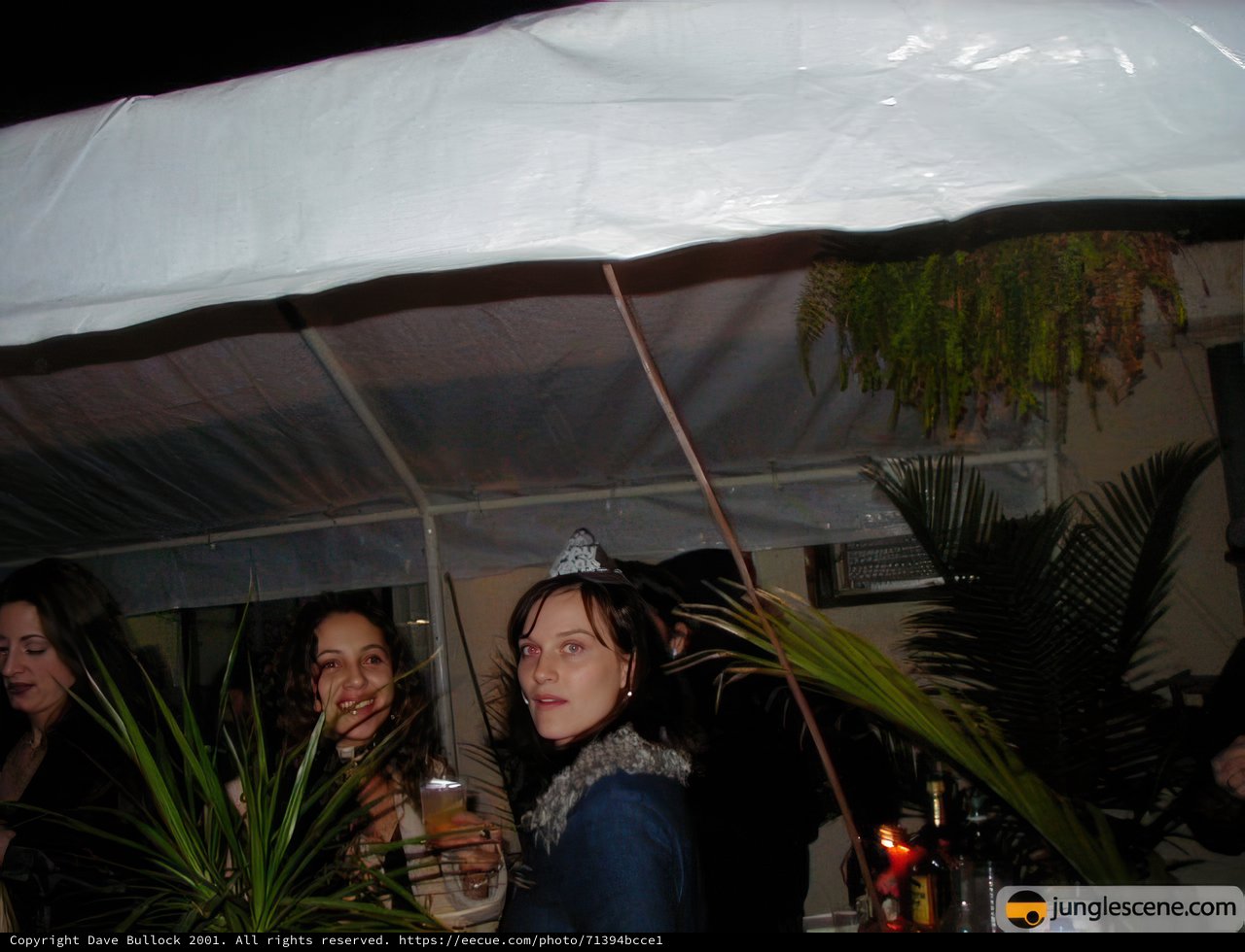 New Year's Eve Celebration Under a Canopy