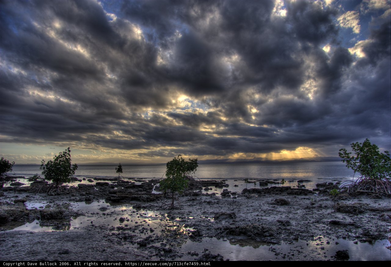 Moody Skies