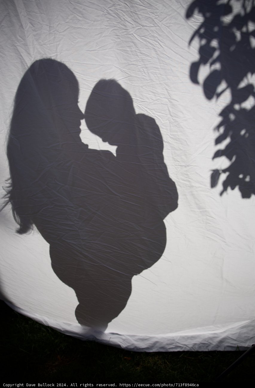 Embrace of Shadows