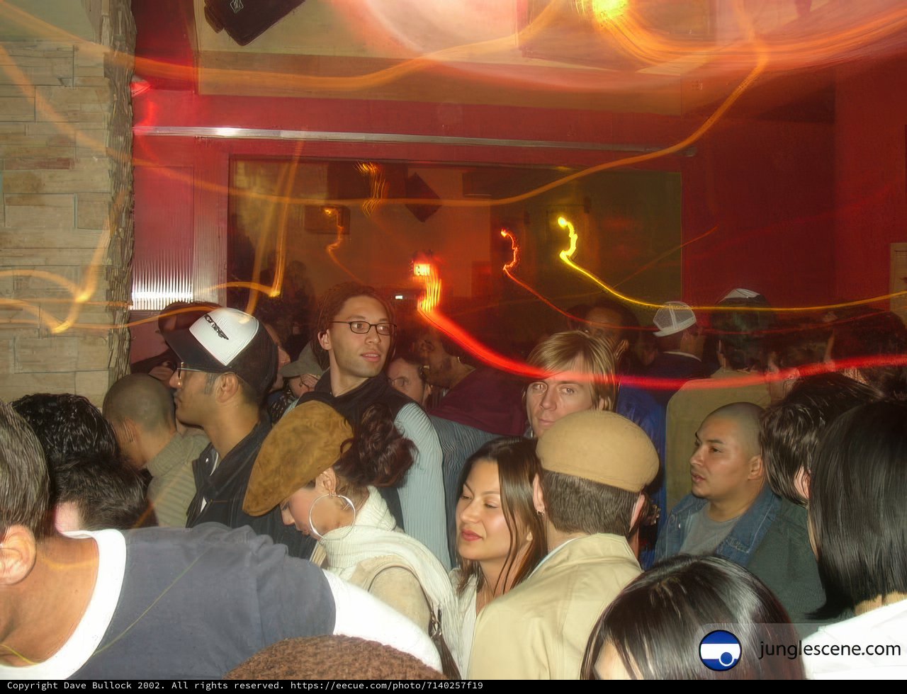 Disco Fever in the Crowd
