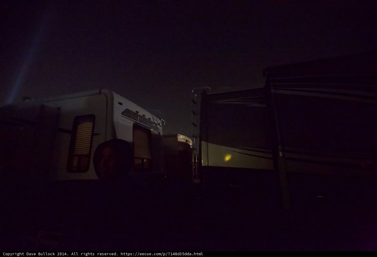 Night Wanderer