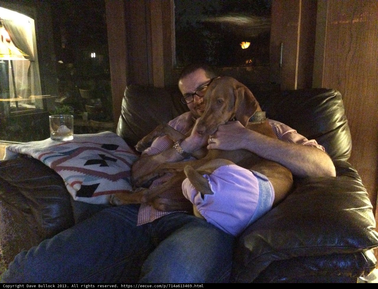Man's Best Friend