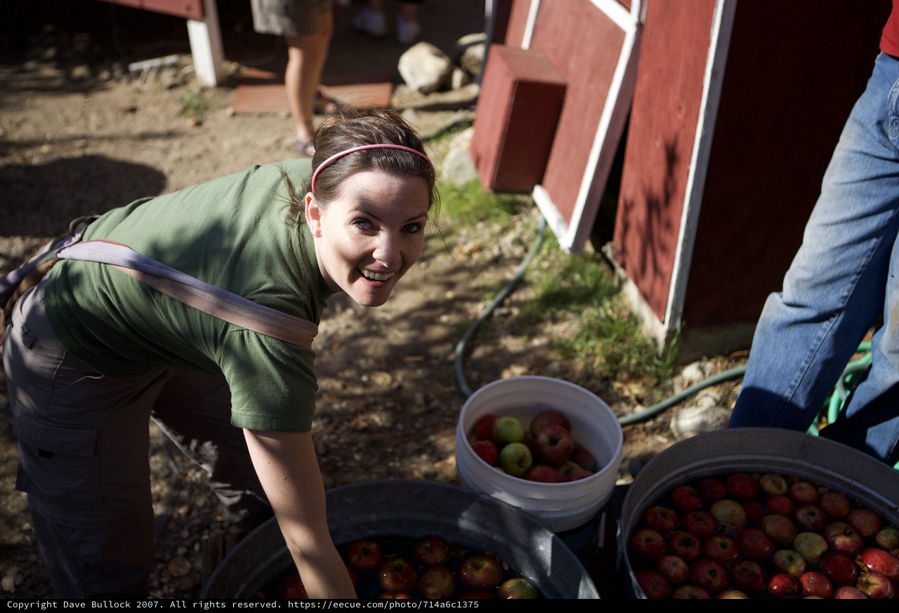 Smiling Woman Sorting Fresh Apples at Farm