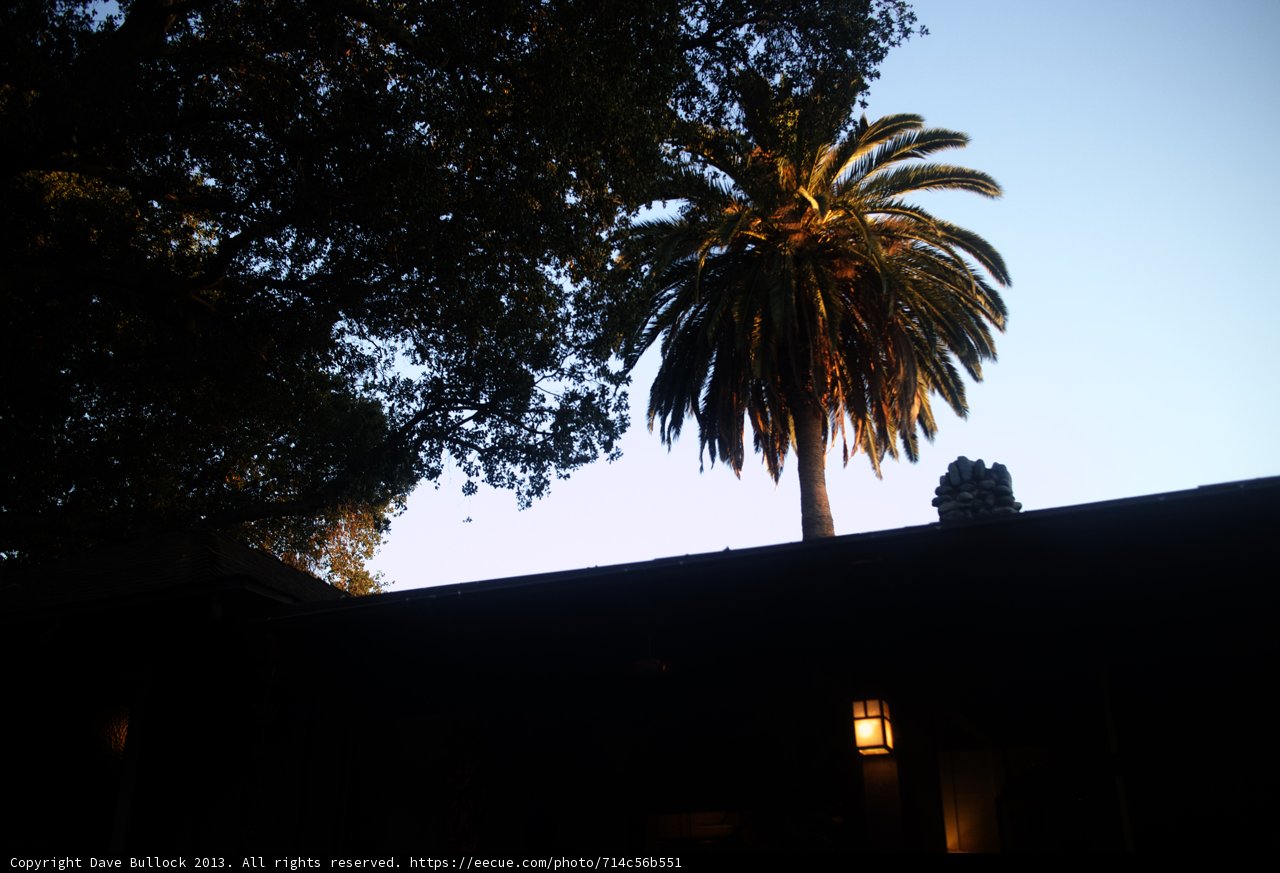 California Dreamin'