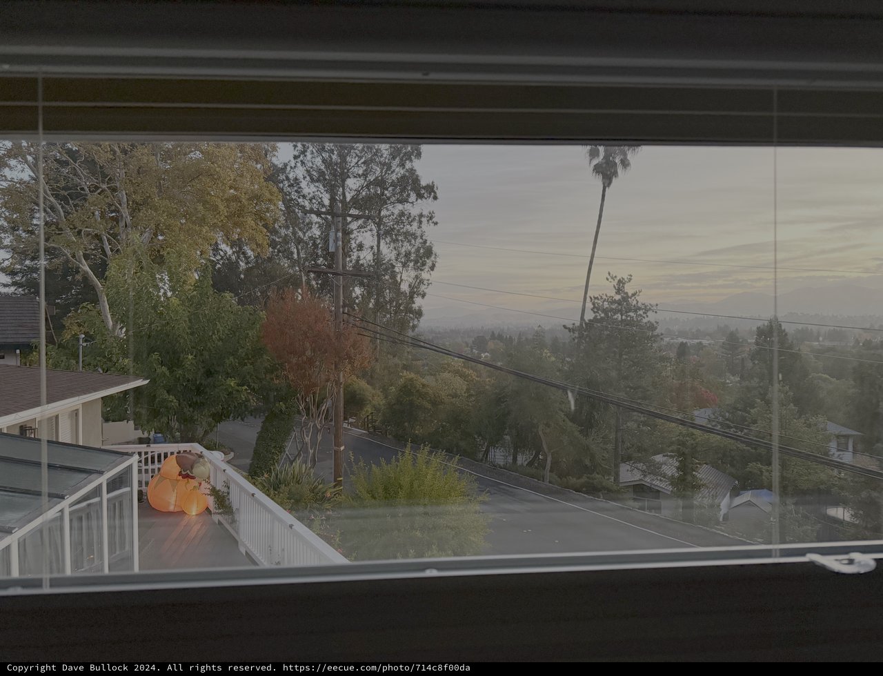Morning View Through Residential Window