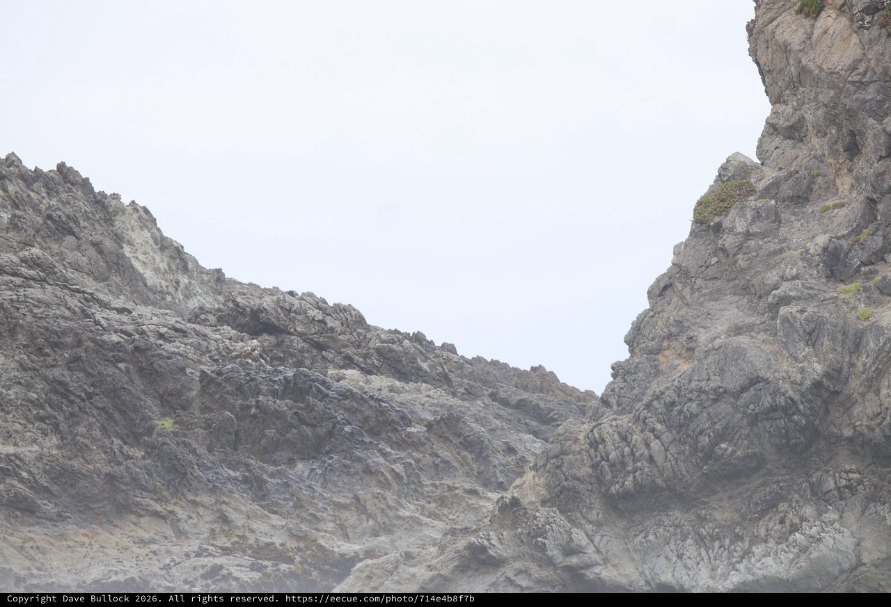 Jagged Coastal Rocks Emerge Through Pacific Fog
