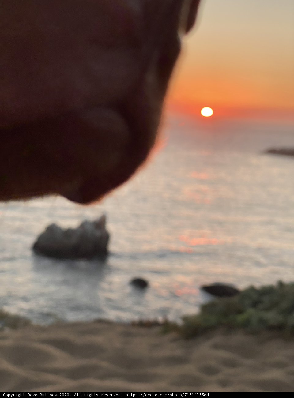 Coastal Contemplation