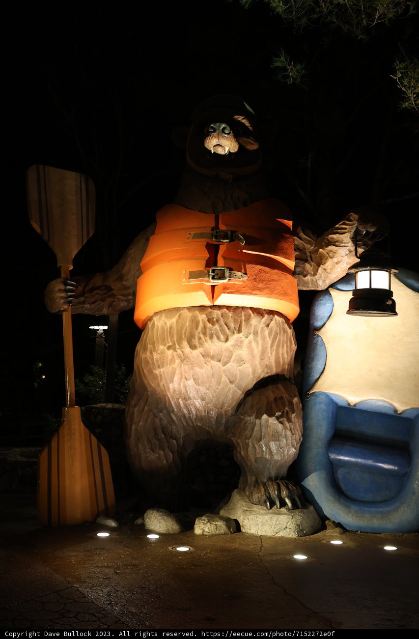 Bear Brigade on the High Seas