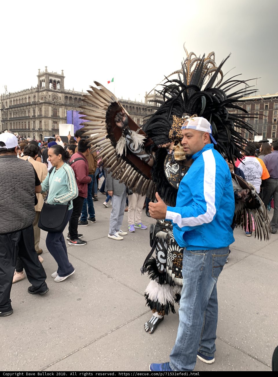 Feathered Festival Attire
