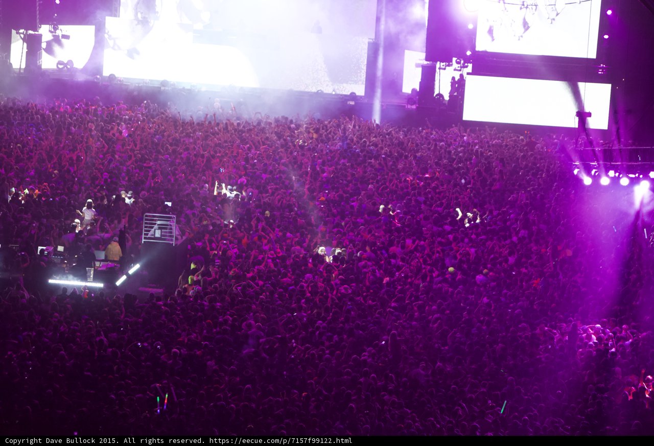Purple Haze Concert