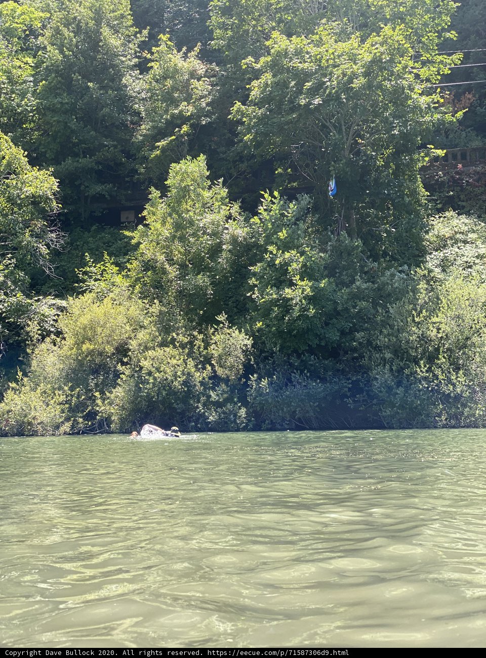 Swinging on the Lake