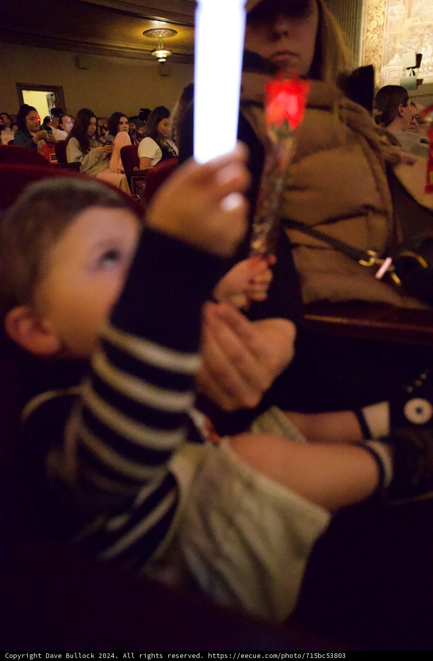 The Young Director in the Making