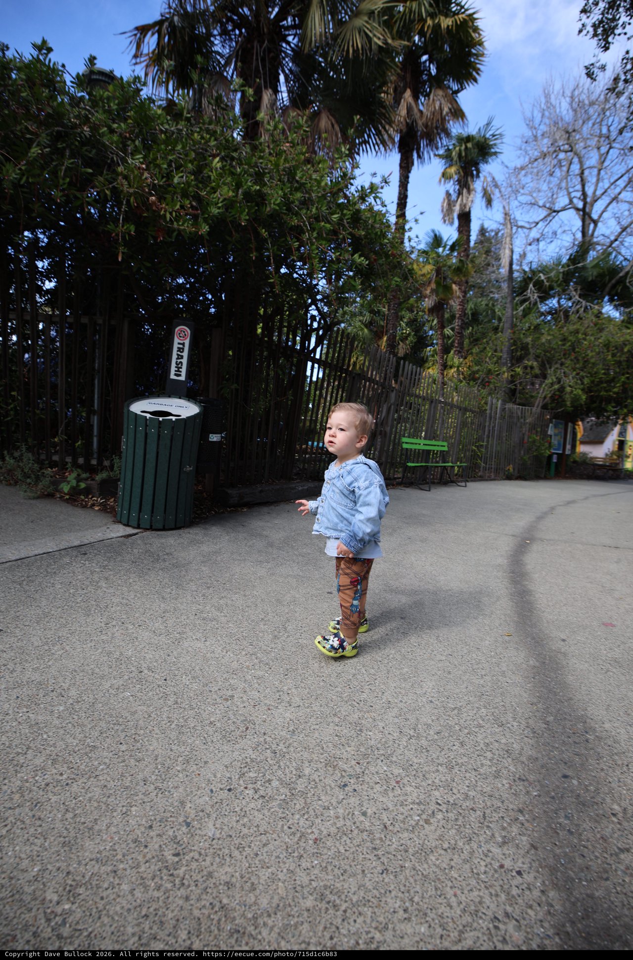 Young Child Exploring Path in Tropical Garden