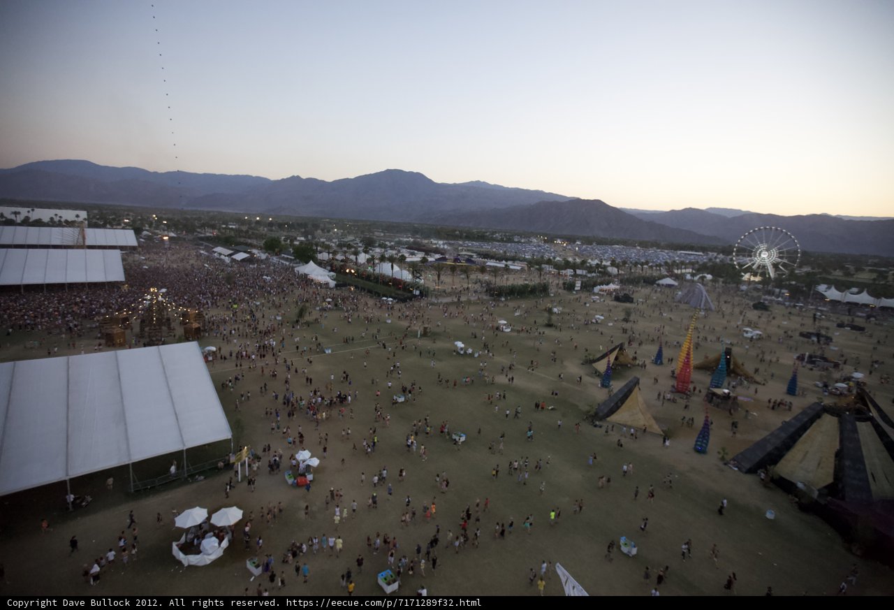 Festival Fever in the Desert