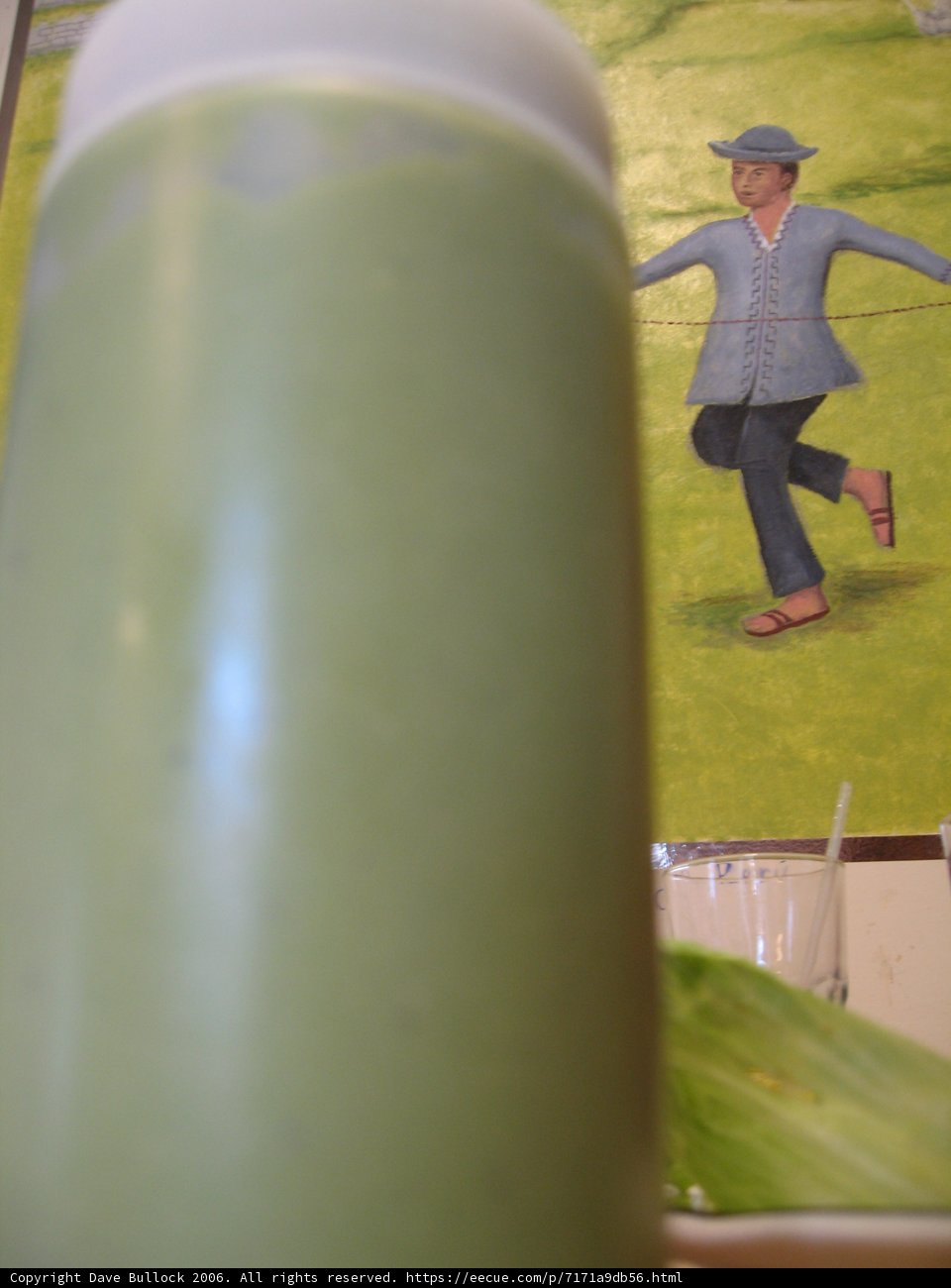 Green Smoothie on a Sunny Afternoon