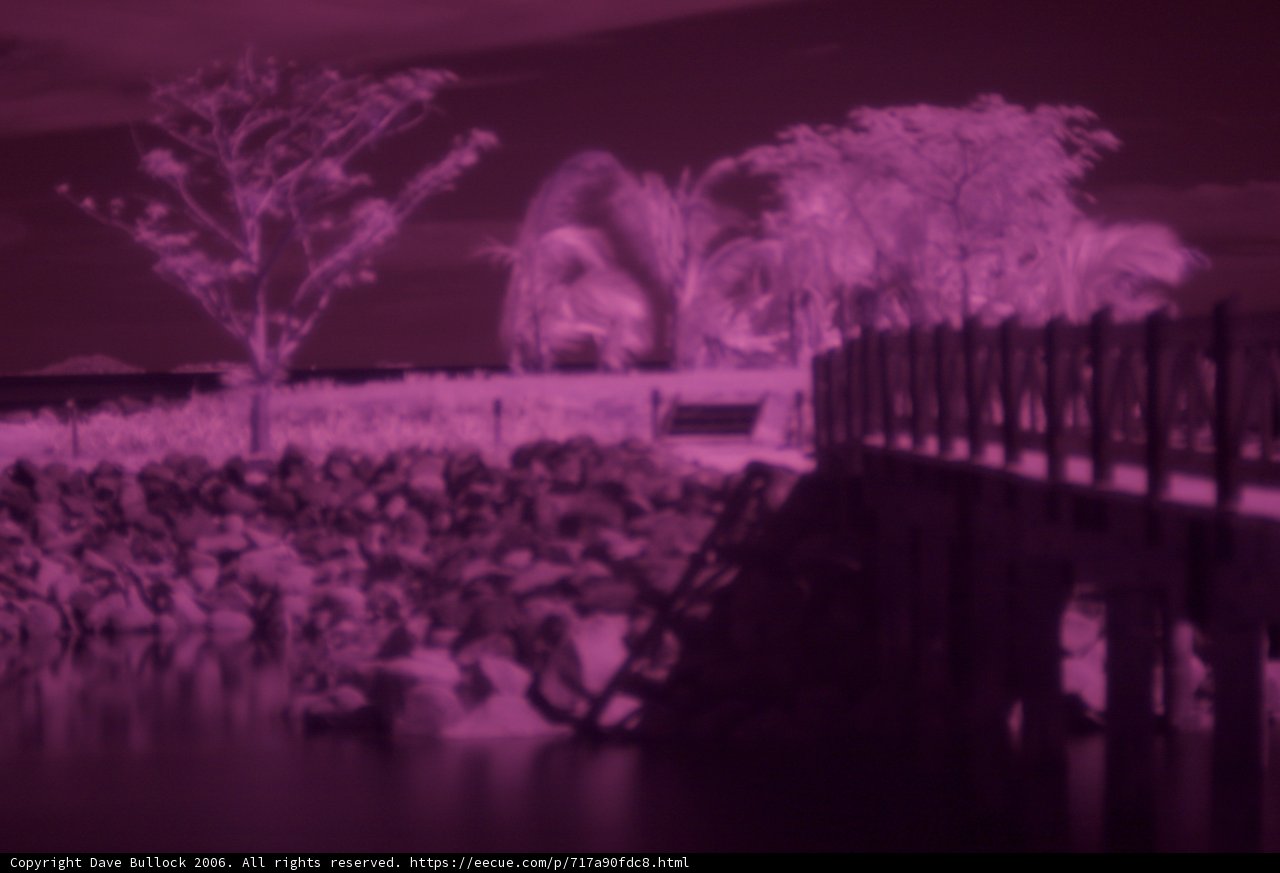 Infrared View of Pier and Trees