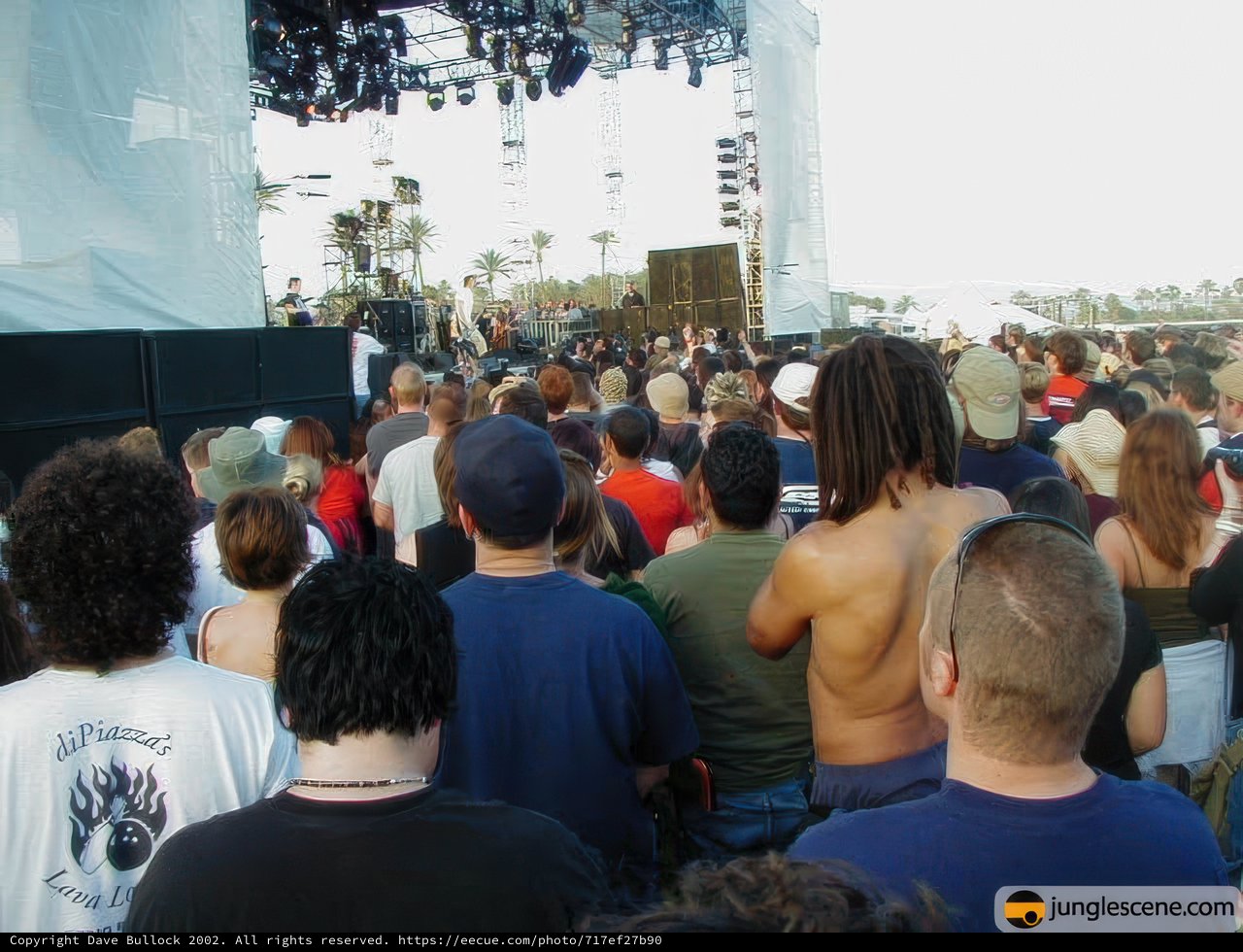 Coachella 2002: A Sea of Fans