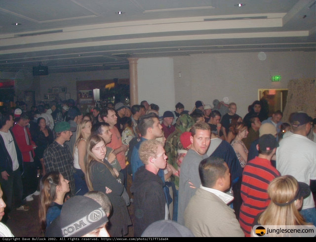 Nightclub Gathering