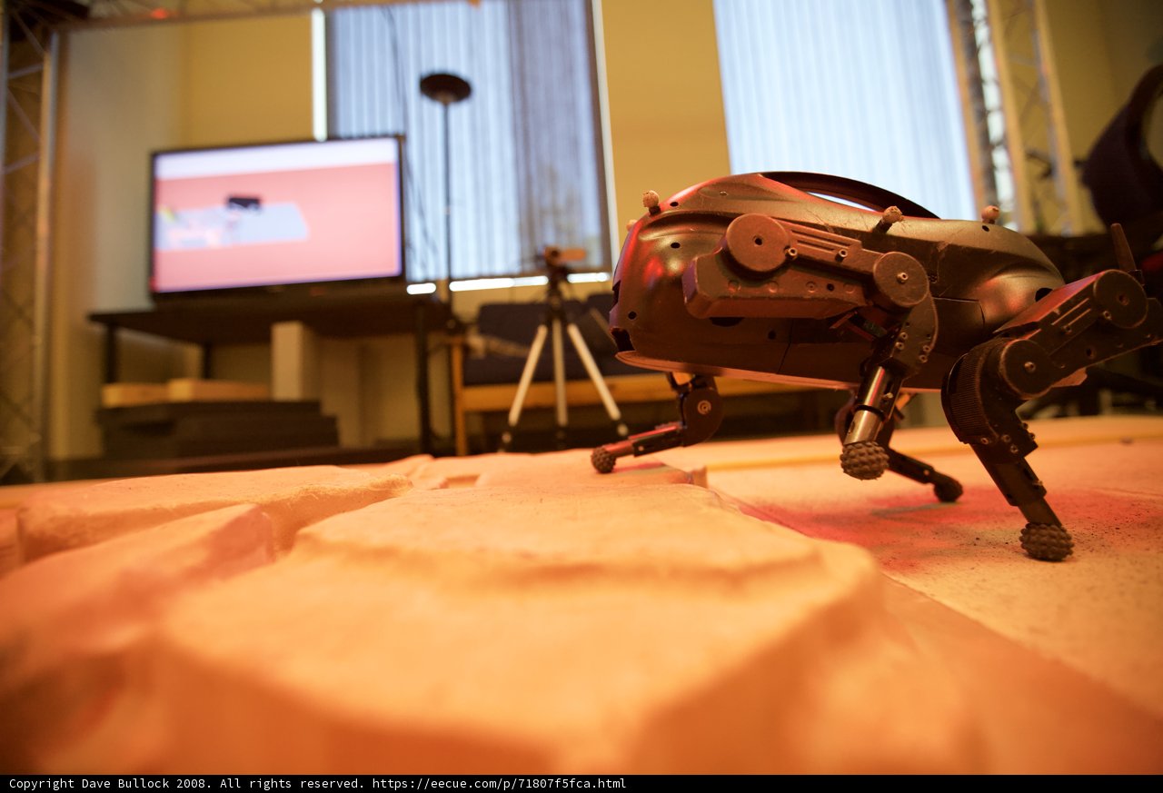 Futuristic Robot Display