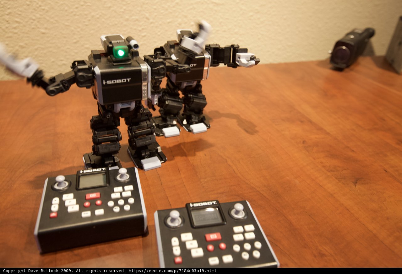 Robot Playtime on Hardwood Flooring