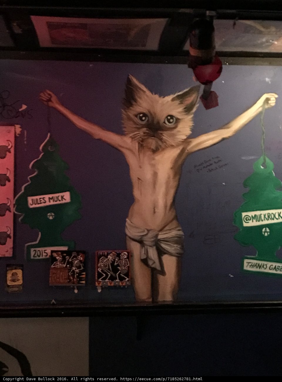 Feline Symbolism