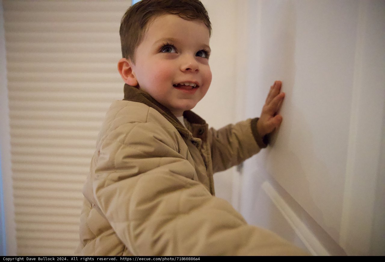 Joyful Explorations
