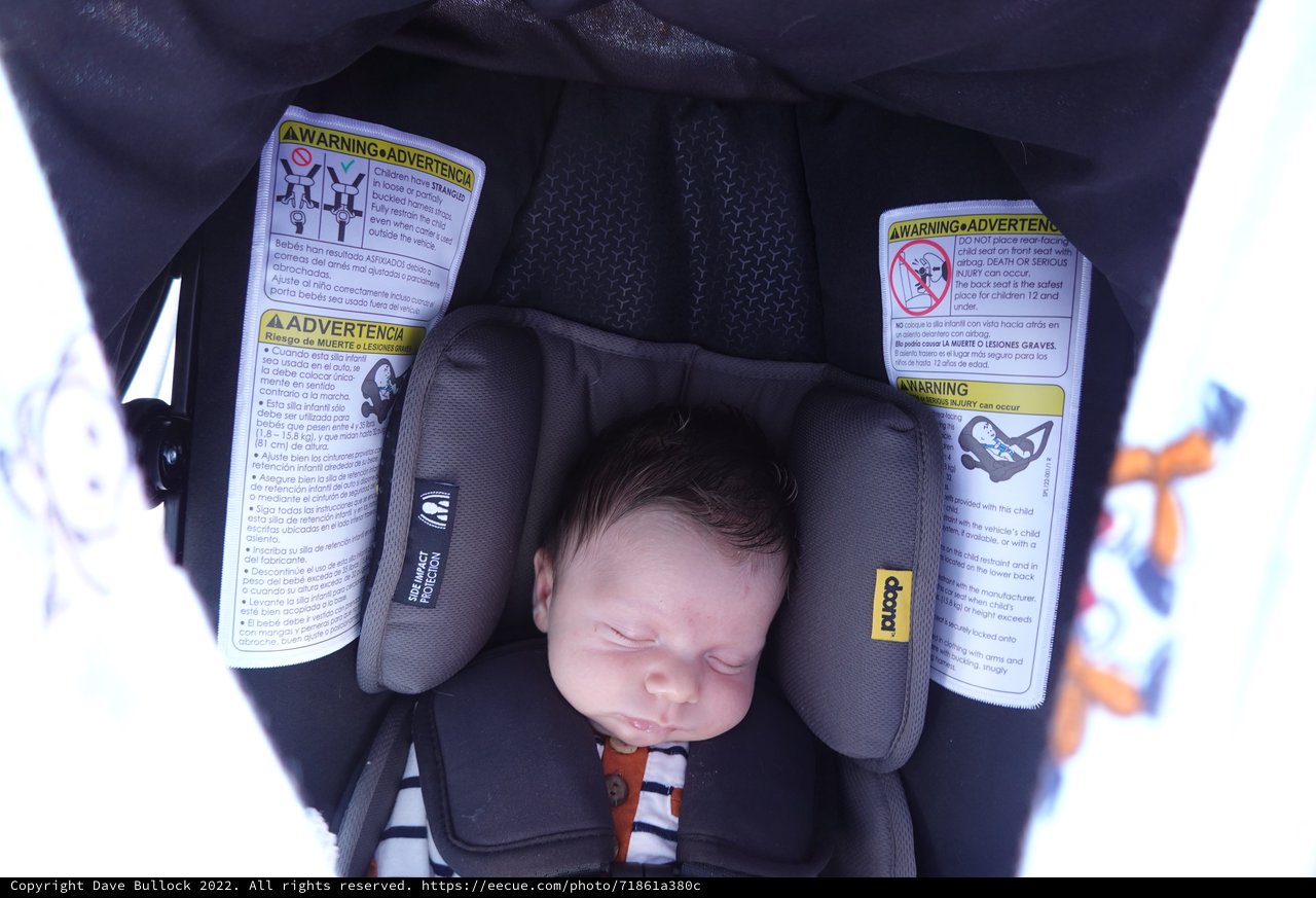 Newborn Baby Sleeping Peacefully in Car Seat