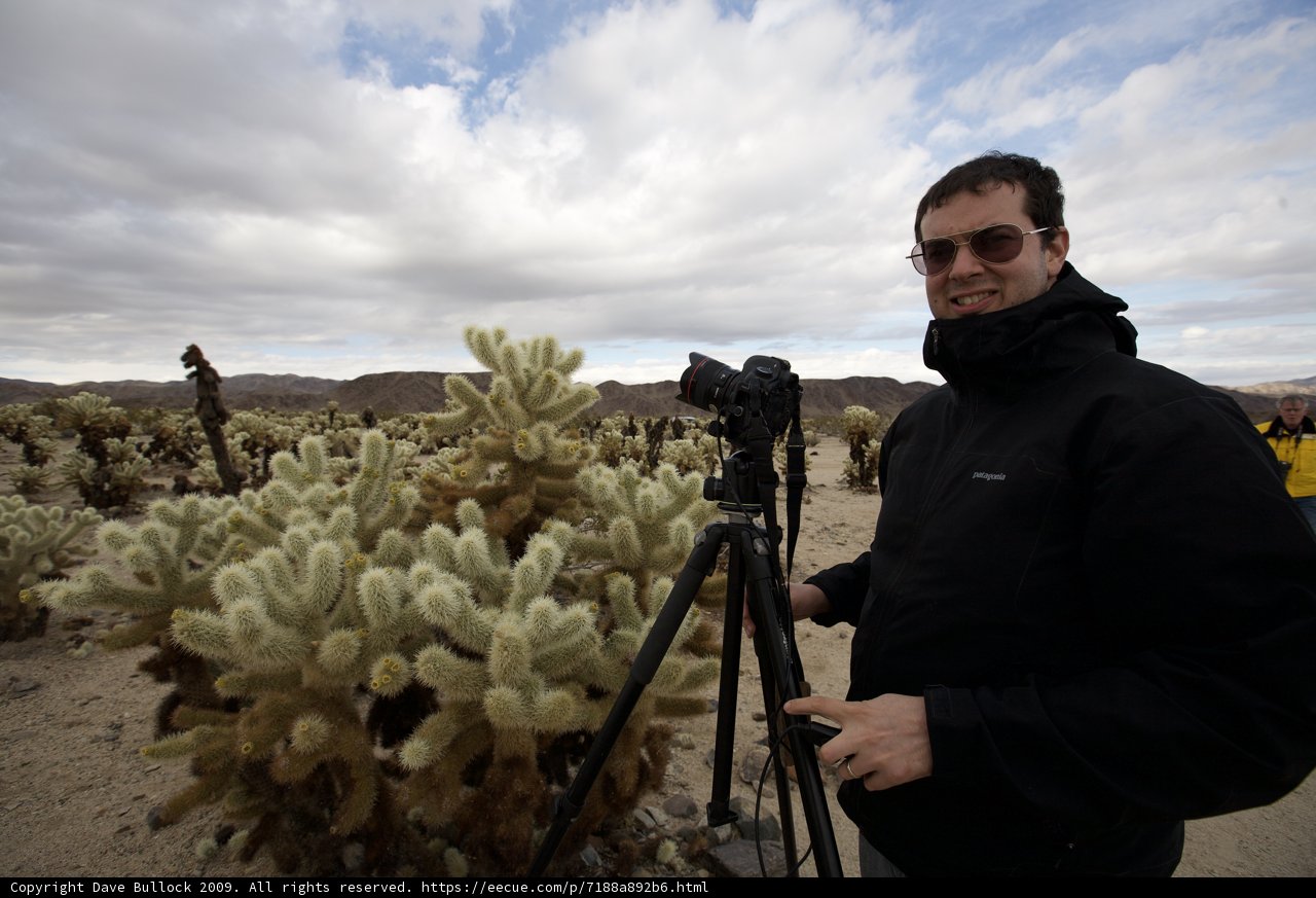 Capturing the Beauty of the Desert