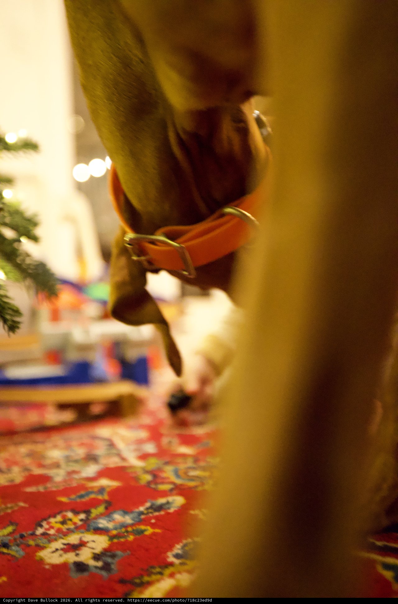 Golden Christmas Ornament Detail on Festive Table