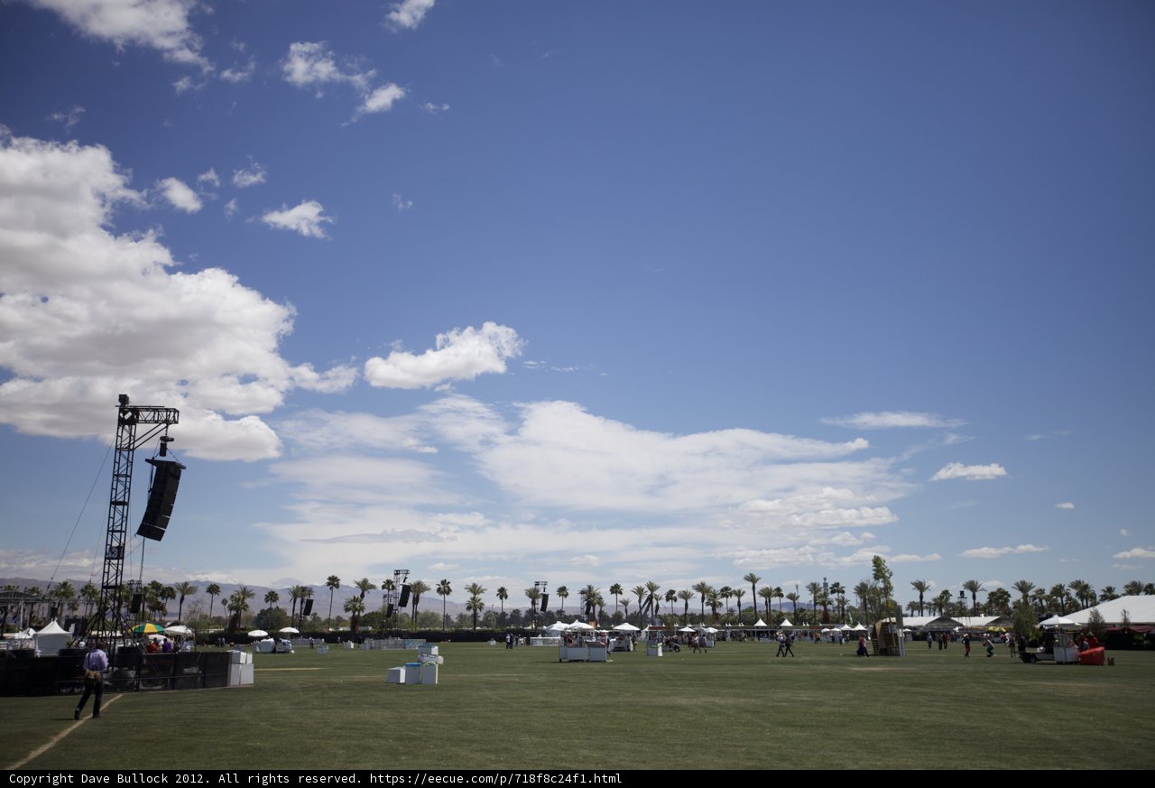 Coachella Field Frenzy