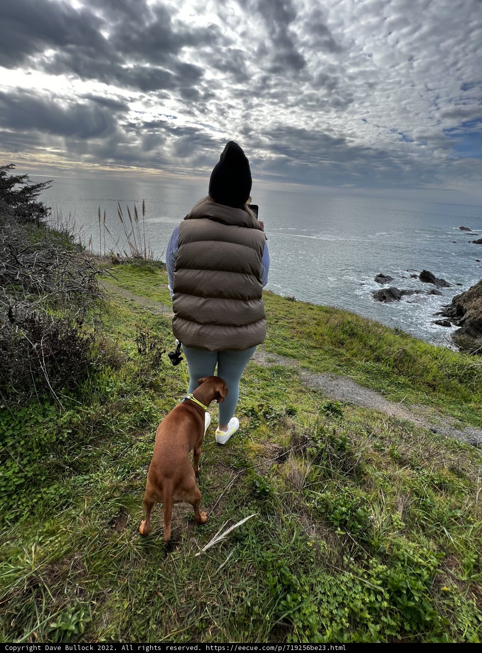 Overlooking the Ocean with My Best Friend