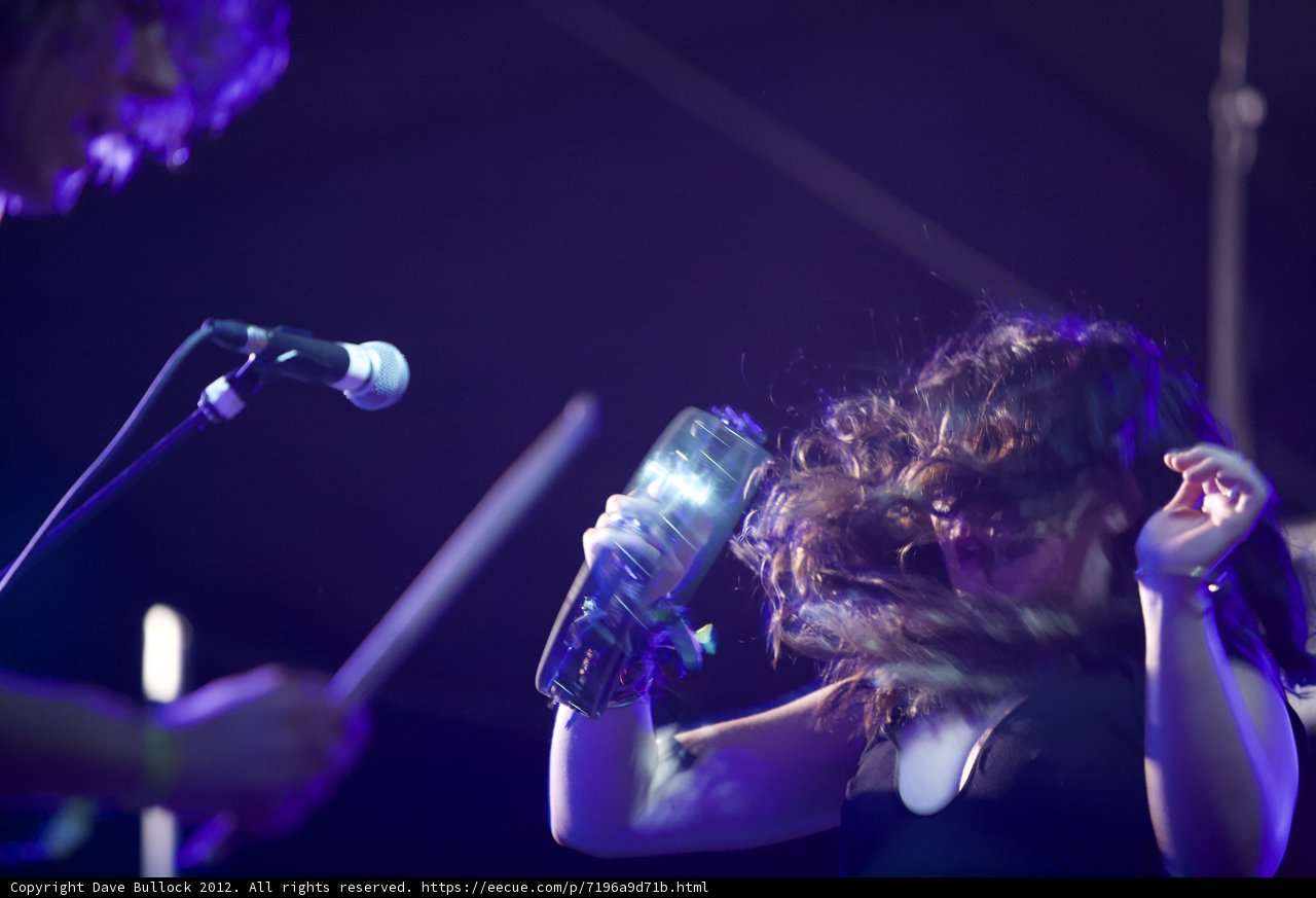 Rocking Out at Coachella